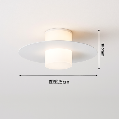 plafonnier led moderne pour allée couloir et salon