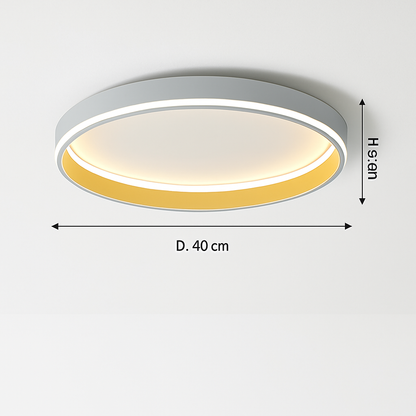 Plafonnier Led nordique moderne pour salon